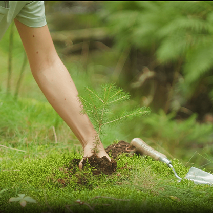 Zluck solutions - Ecocareers